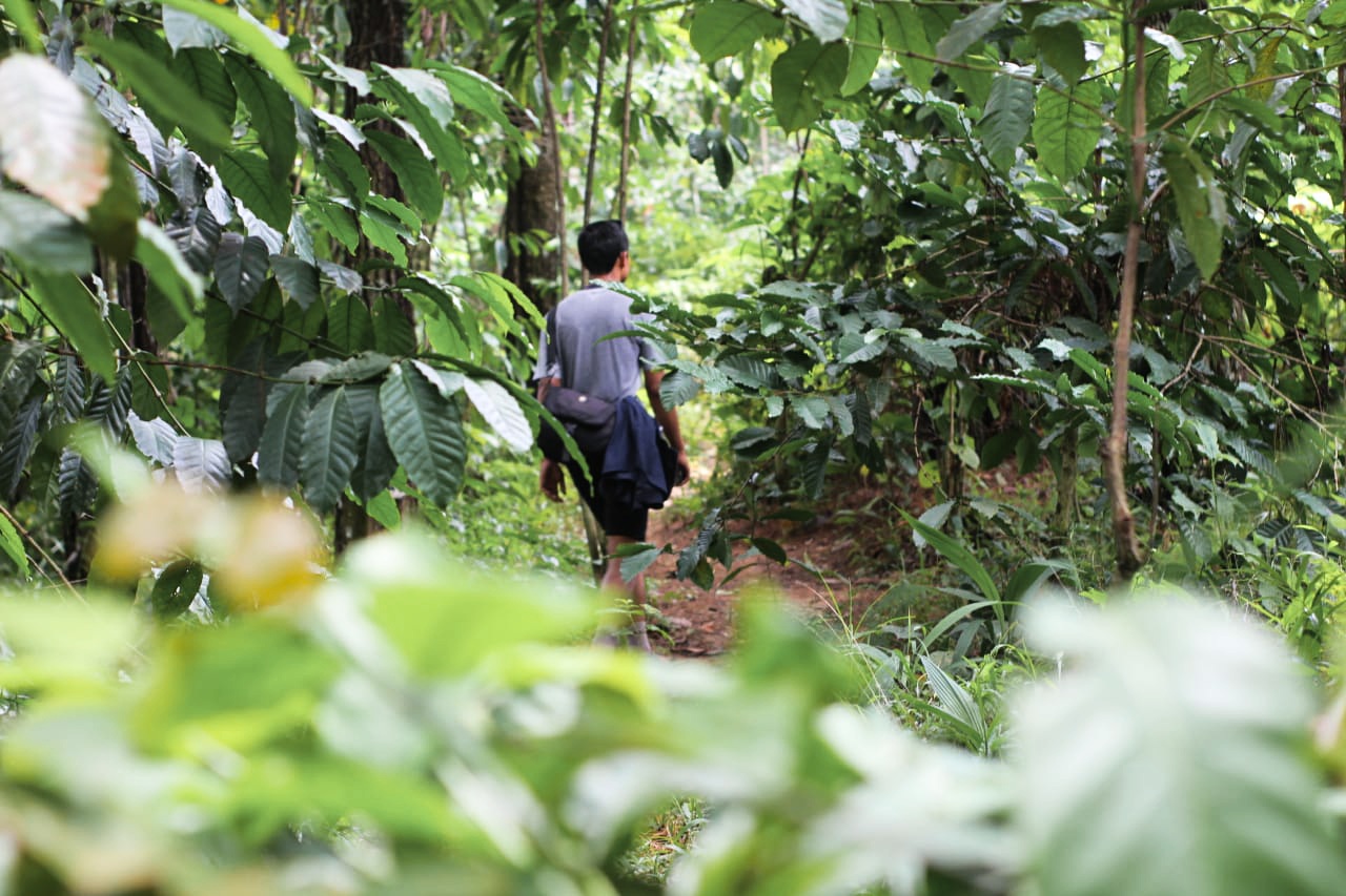 Trekking Gua Garunggang & Curug leuwi asih